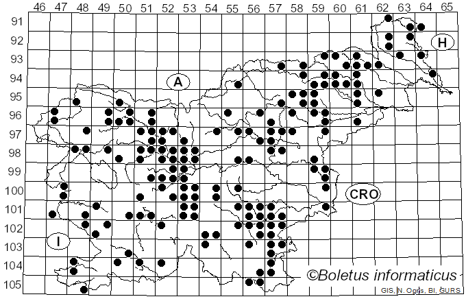 <i>Lepiota cristata</i> (Bolton) P. Kumm. (1871)