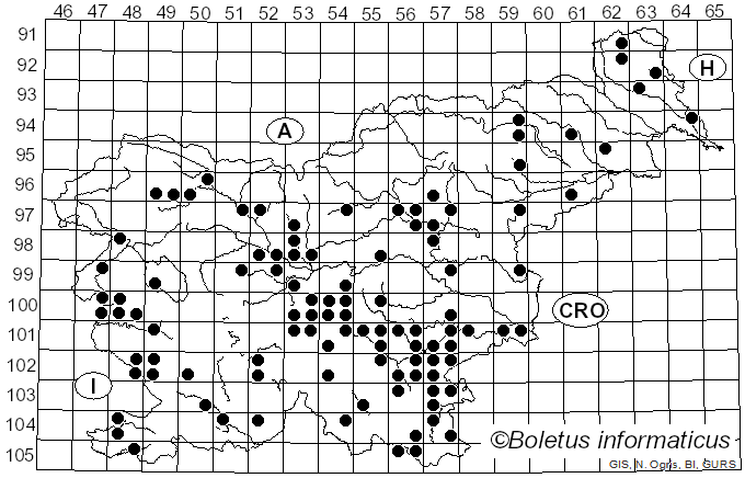 <i>Lactarius zonarius</i> (Bull.) Fr. (1838)