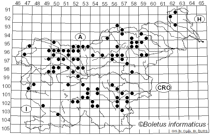 <i>Gomphus</i> Pers. (1797)