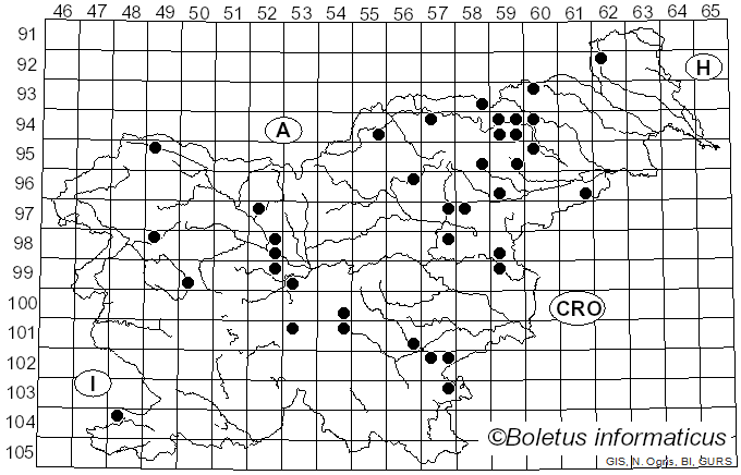 <i>Clitocybe candicans</i> (Pers.) P. Kumm. (1871)