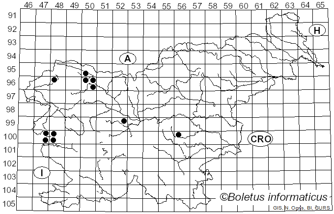 <i>Dialonectria episphaeria</i> (Tode) Cooke (1884)