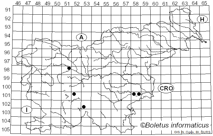 <i>Temnostoma vespiforme</i> Linnaeus