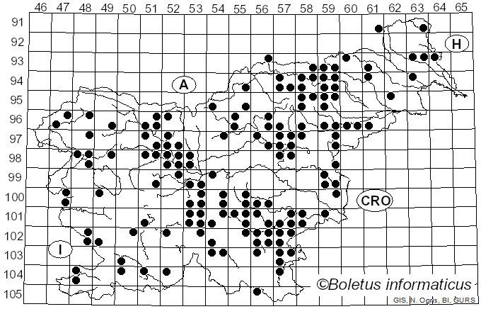 <i>Entoloma rhodopolium</i> (Fr.) P. Kumm. (1871)