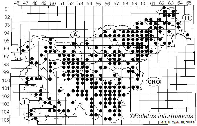 <i>Pluteus cervinus</i> (Schaeff.) P. Kumm. (1871)