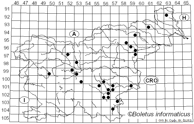 <i>Marasmius prasiosmus</i> (Fr.) Fr. (1838)