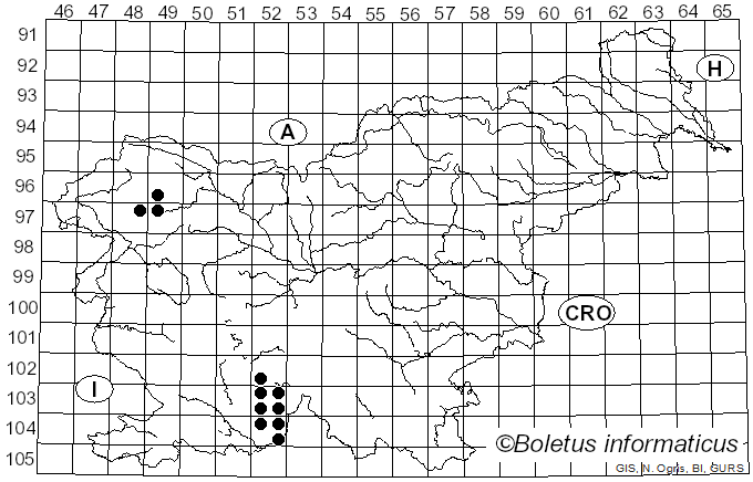 <i>Pertusaria albescens</i> var. <i>corallina</i> (Zahlbr.) J.R. Laundon (1963)