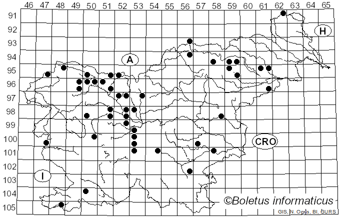 <i>Rutstroemia</i> P. Karst. (1871)