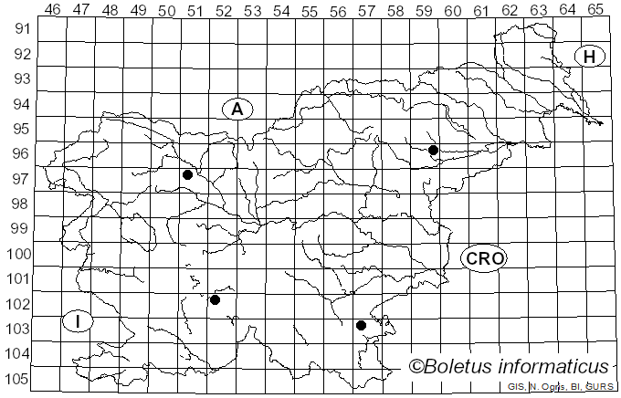 <i>Naematelia aurantia</i> (Schwein.) Burt (1921)
