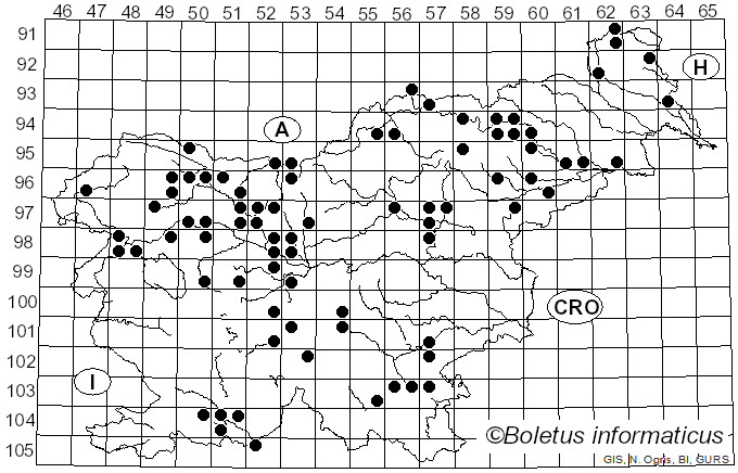 <i>Neolentinus</i> Redhead & Ginns (1985)