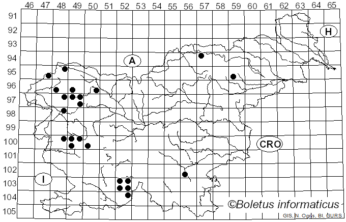 <i>Collema flaccidum</i> (Ach.) Ach. (1810)