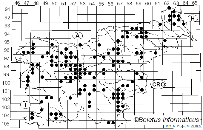 <i>Cuphophyllus virgineus</i> (Wulfen) Kovalenko (1989)
