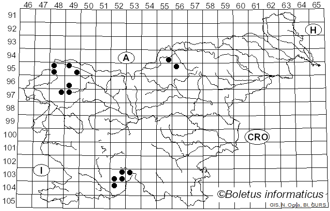 <i>Ropalospora viridis</i> (Tønsberg) Tønsberg (1992)