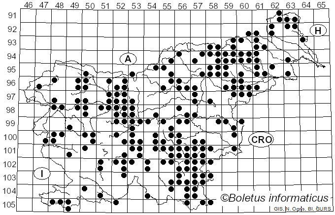 <i>Trichaptum</i> Murrill (1904)