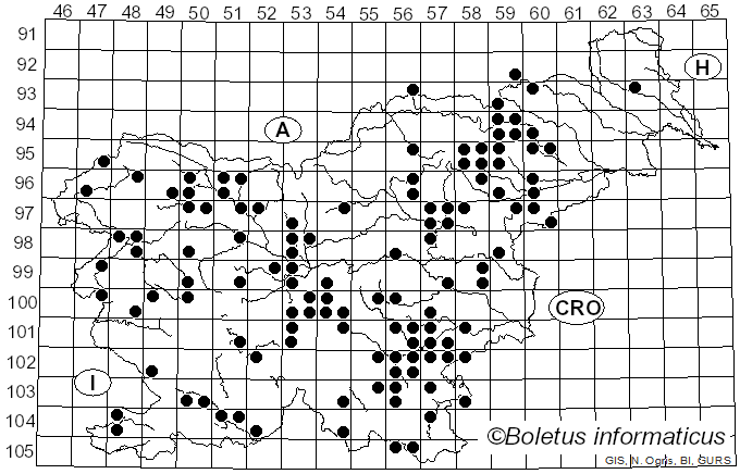 <i>Hericium</i> Pers. (1794)