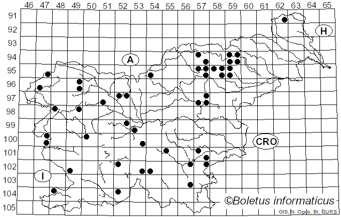 <i>Cortinarius subvalidus</i> Rob. Henry (1958)