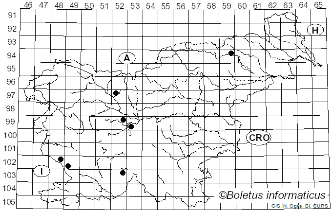 <i>Lyophyllum konradianum</i> (Maire) Kühner & Romagn. (1953)