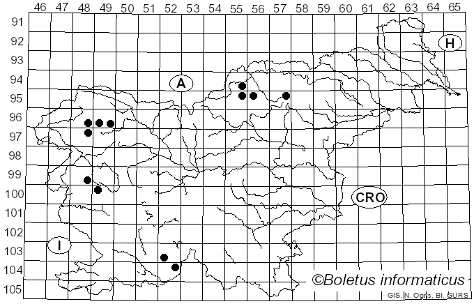 <i>Calicium glaucellum</i> Ach. (1803)