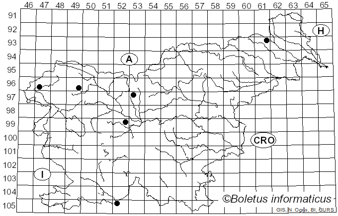 <i>Leptosphaeria acuta</i> (Moug. & Nestl.) P. Karst. (1873)