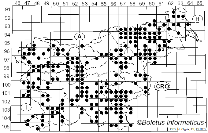 <i>Phellinus</i> Quél. (1886)