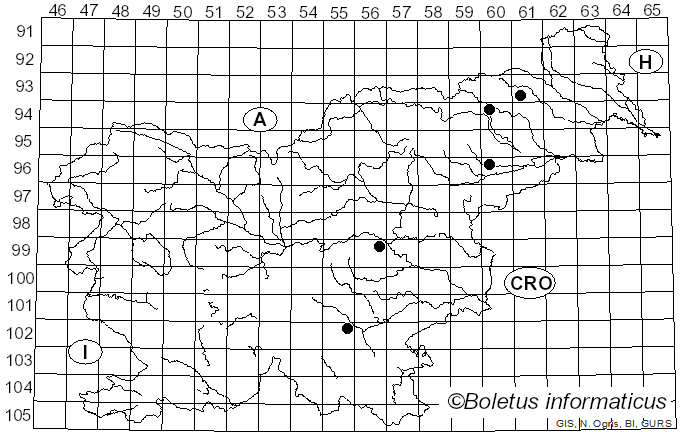 <i>Antrodia heteromorpha</i> (Fr.) Donk (1961)