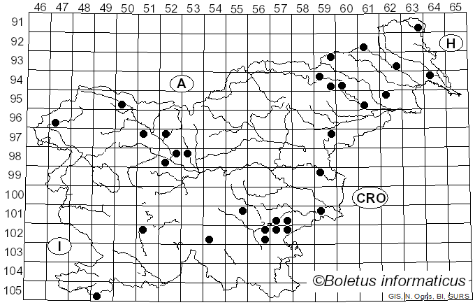 <i>Gymnopus aquosus</i> (Bull.) Antonín & Noordel. (1997)