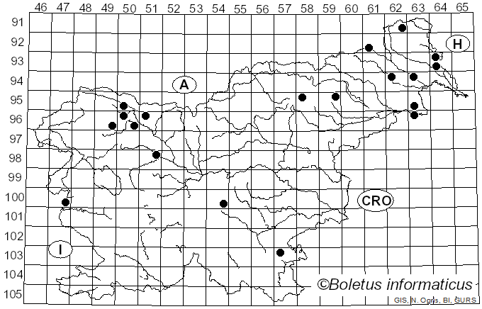 <i>Orbilia</i> Fr. (1849)