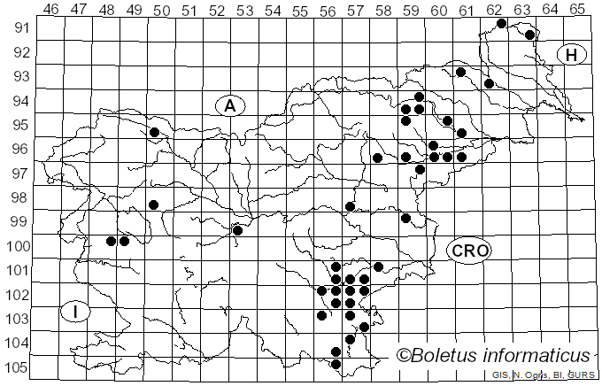 <i>Candolleomyces</i> D. Wächt. & A. Melzer (2020)