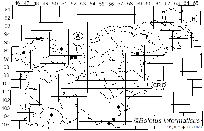 <i>Tectella patellaris</i> (Fr.) Murrill (1915)
