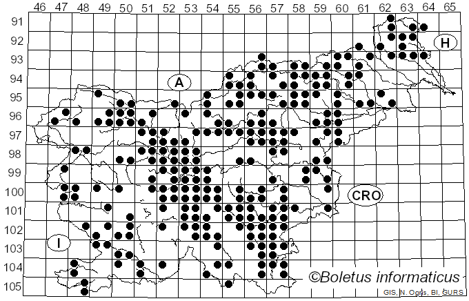 <i>Amanita vaginata</i> (Bull.) Lam. (1783)