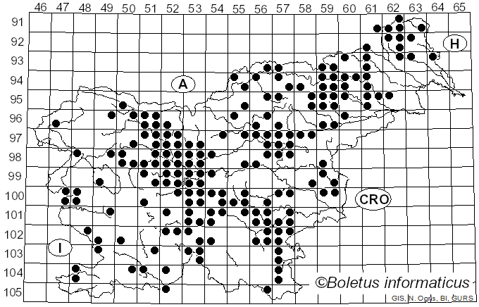 <i>Suillus bovinus</i> (Pers.) Kuntze (1898)