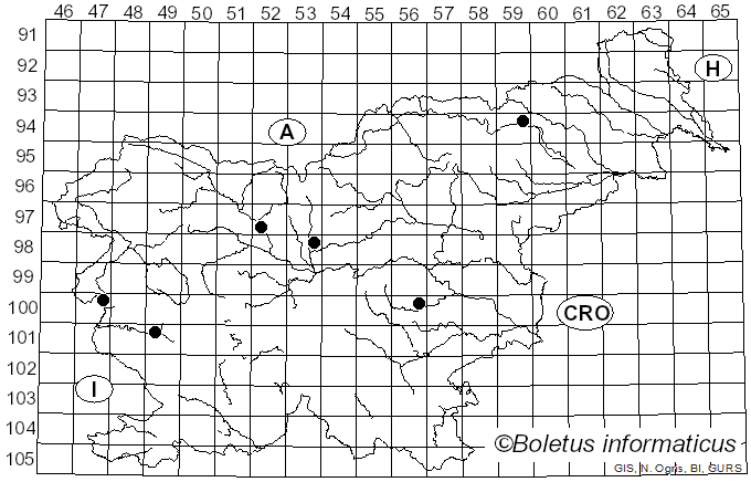 <i>Vanderbylia</i> D.A. Reid (1973)