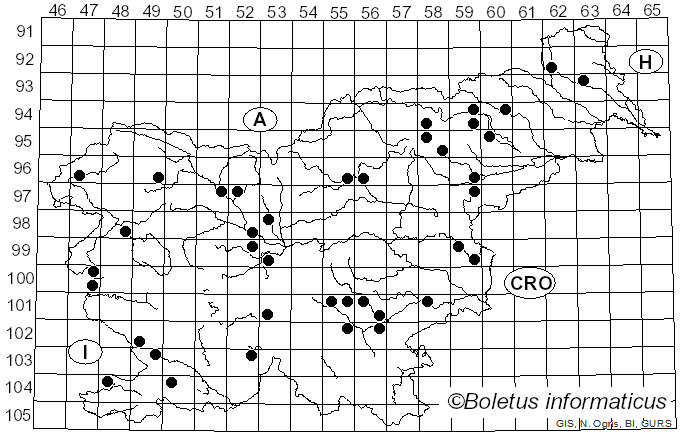 <i>Inocybe geophylla</i> var. <i>lilacina</i> Gillet (1876)