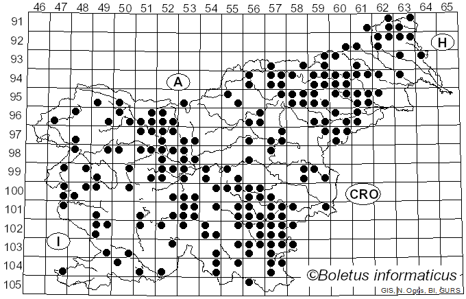 <i>Bjerkandera</i> P. Karst. (1879)