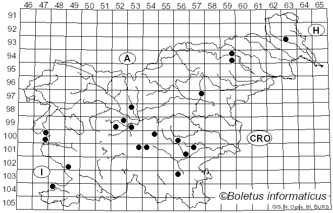 <i>Calocybe gangraenosa</i> (Fr.) V. Hofst., Moncalvo, Redhead & Vilgalys (2012)