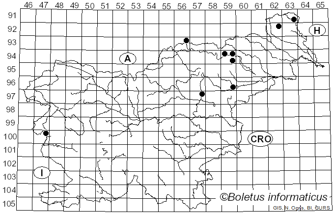 <i>Lepiota subincarnata</i> J.E. Lange (1940)