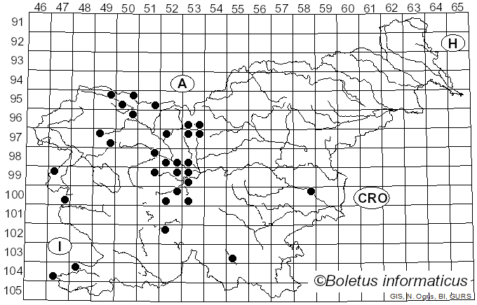 <i>Aecidium</i> Pers. (1796)