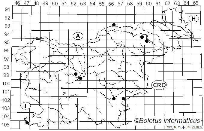 <i>Agaricus litoralis</i> (Wakef. & A. Pearson) Konrad & Maubl. (1952)
