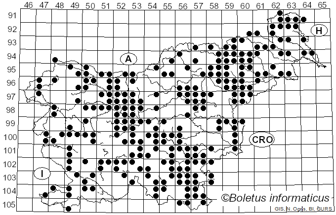 <i>Schizophyllum commune</i> Fr. (1815)