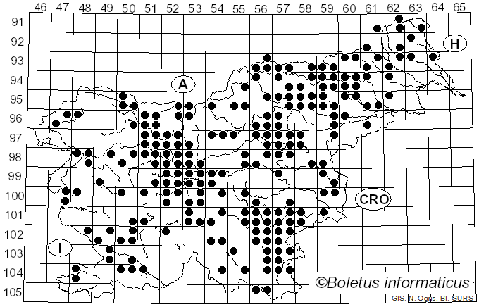 <i>Paxillus involutus</i> (Batsch) Fr. (1838)