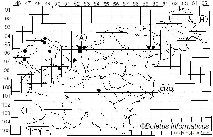 <i>Osteina obducta</i> (Berk.) Donk (1966)