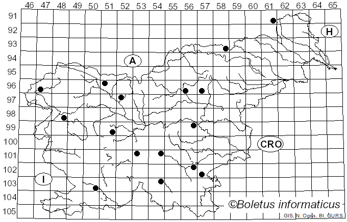 <i>Neofavolus suavissimus</i> (Fr.) Seelan, Justo & Hibbett (2016)
