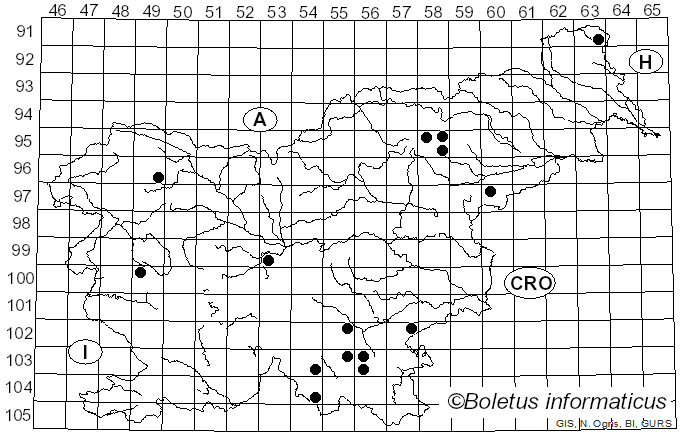 <i>Dentipellis fragilis</i> (Pers.) Donk (1962)