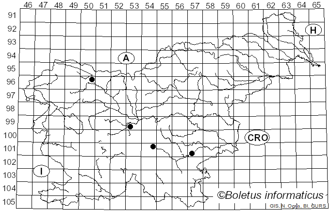 <i>Inocutis dryophila</i> (Berk.) Fiasson & Niemelä (1984)