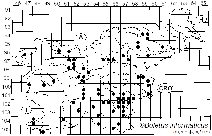 <i>Xerula pudens</i> (Pers.) Singer (1951)