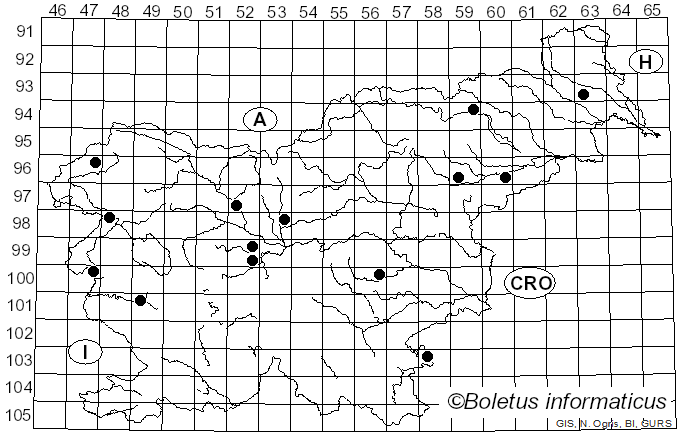 <i>Vanderbylia fraxinea</i> (Bull.) D.A. Reid (1973)