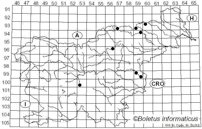<i>Conocybe antipus</i> (Lasch) Fayod