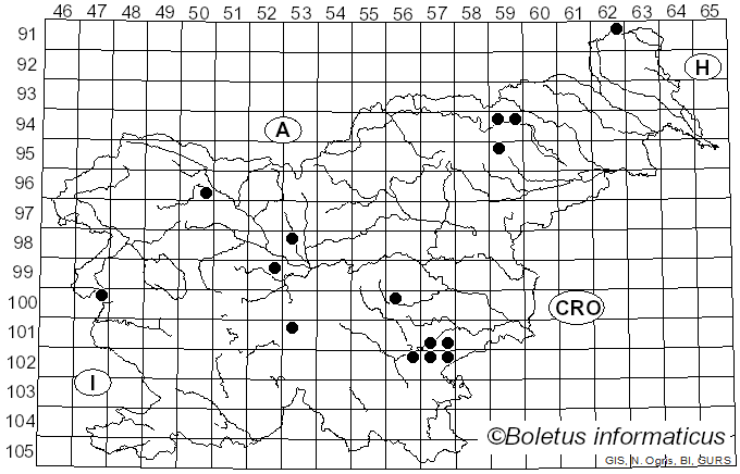 <i>Rhodocollybia fodiens</i> (Kalchbr.) Antonín & Noordel. (1997)