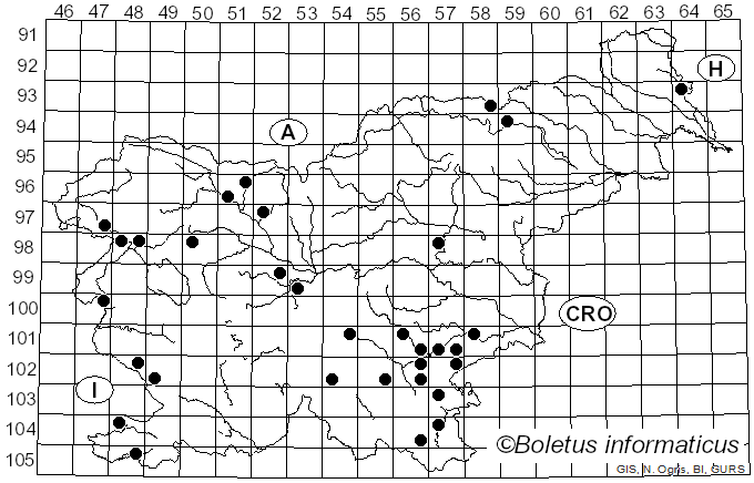 <i>Russula amarissima</i> Romagn. (1943)