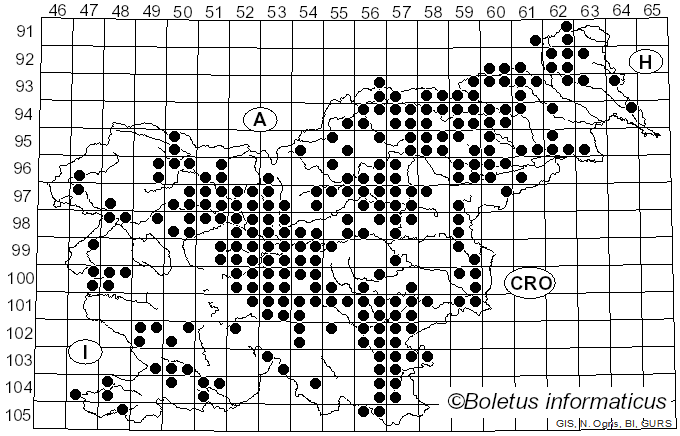 <i>Scleroderma citrinum</i> Pers. (1801)