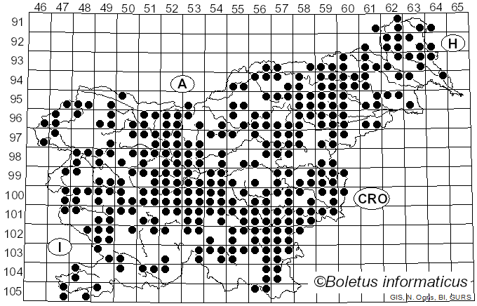 <i>Armillaria</i> (Fr.) Staude (1857)